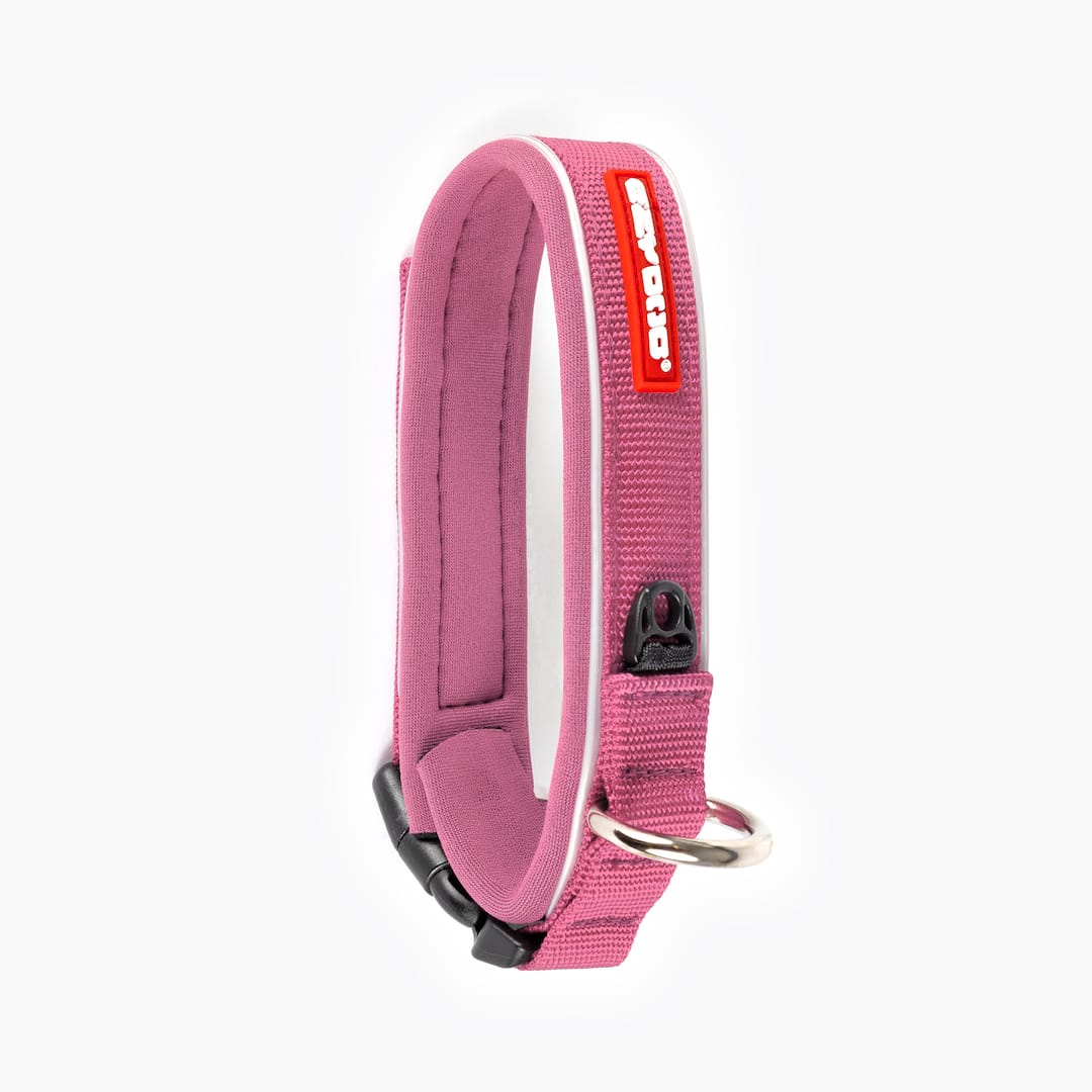 Dog Collar product image 38