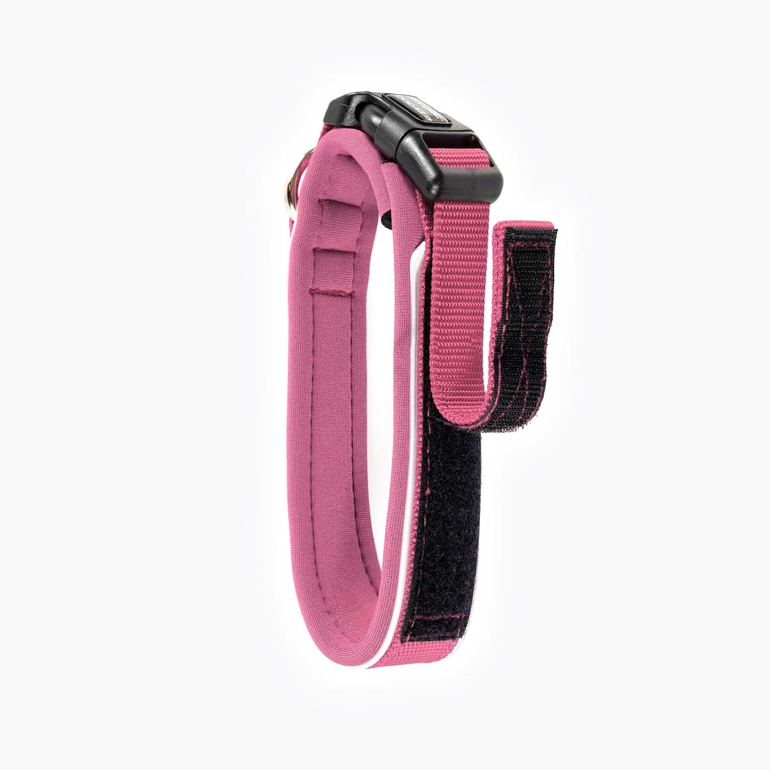 Dog Collar product image 39