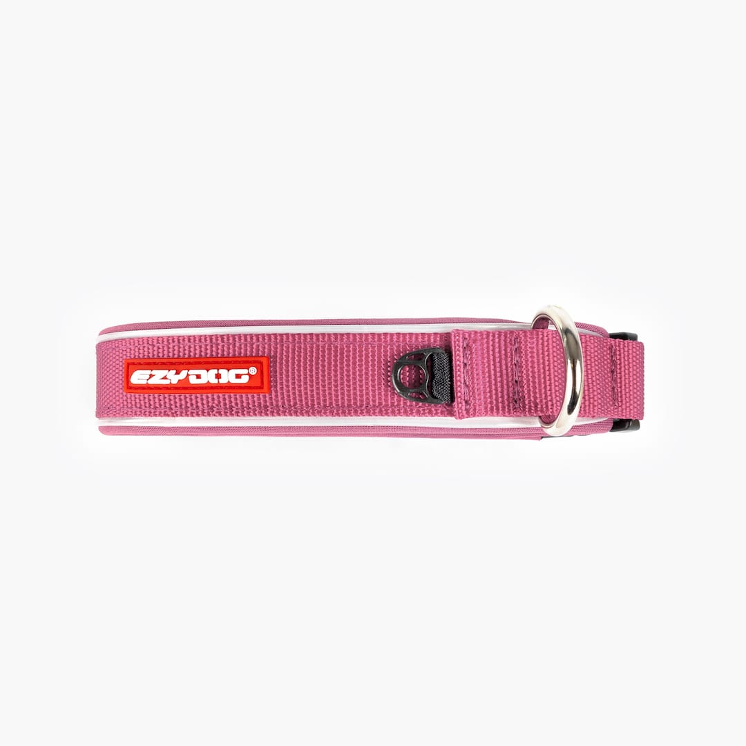 Dog Collar product image 40