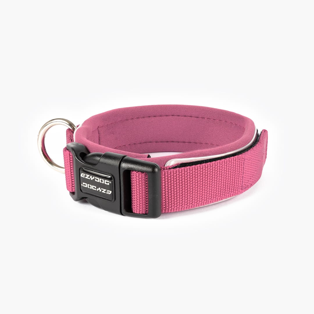 Dog Collar product image 41