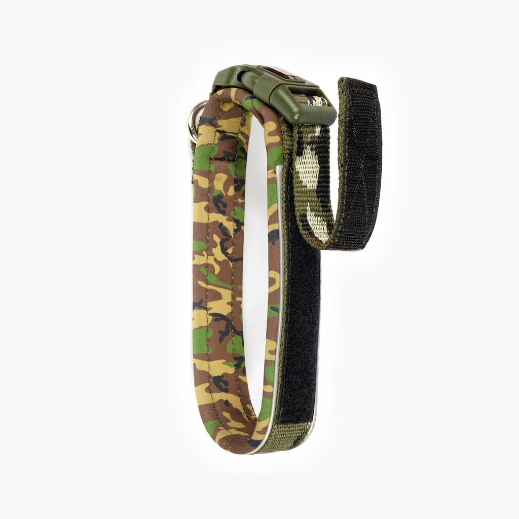 Dog Collar product image 43
