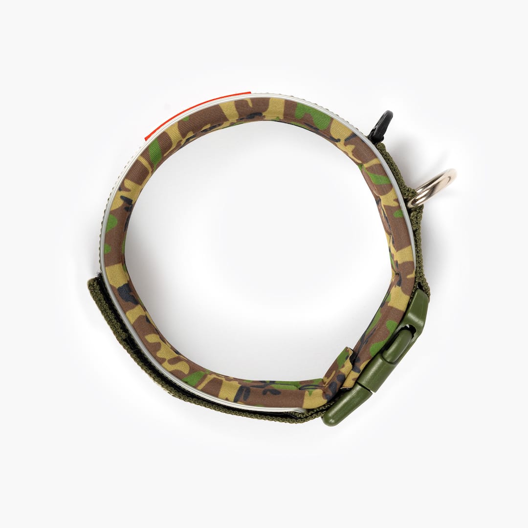 Dog Collar product image 45