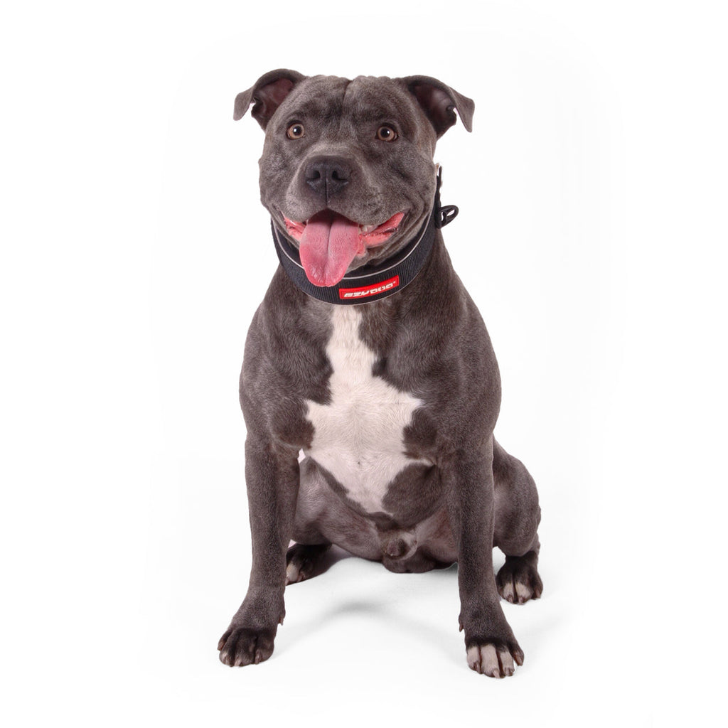 Wide Dog Collar product image 2