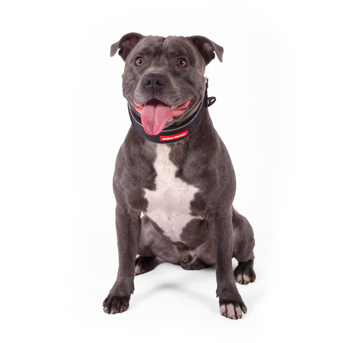 Wide Dog Collar product image 2