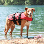 Dog Life Jacket product image 3
