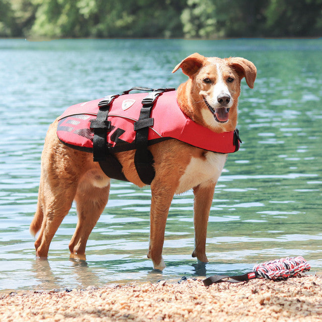 Dog Life Jacket product image 3