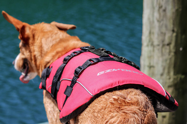 Dog Life Jacket product image 4