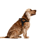 Dog Harness product image 2