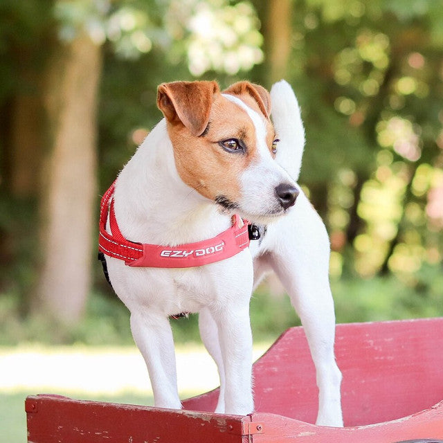 Dog Harness product image 3