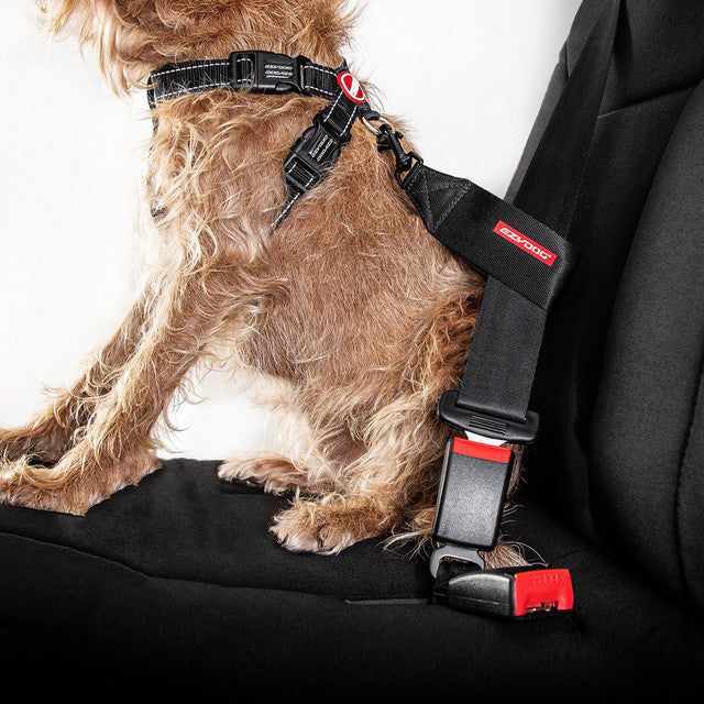 Dog Seat Belt Restraint product image 2