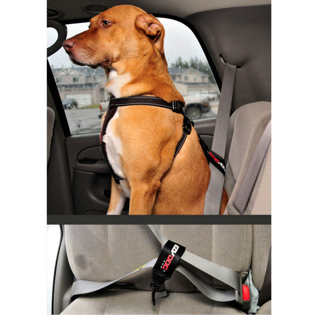 Dog Seat Belt Restraint product image 3