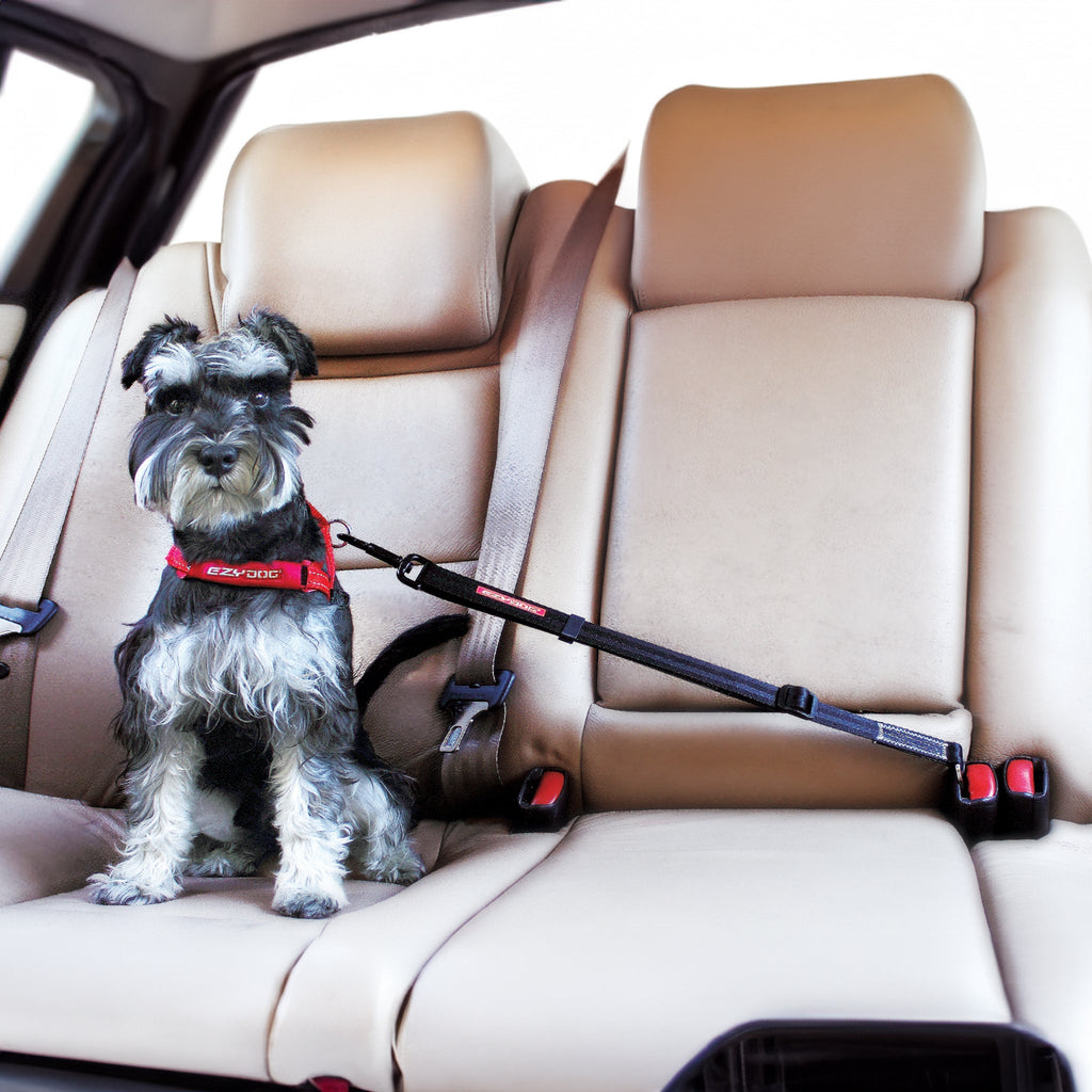 Dog Seat Belt product image 4