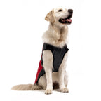 Dog Jacket product image 2