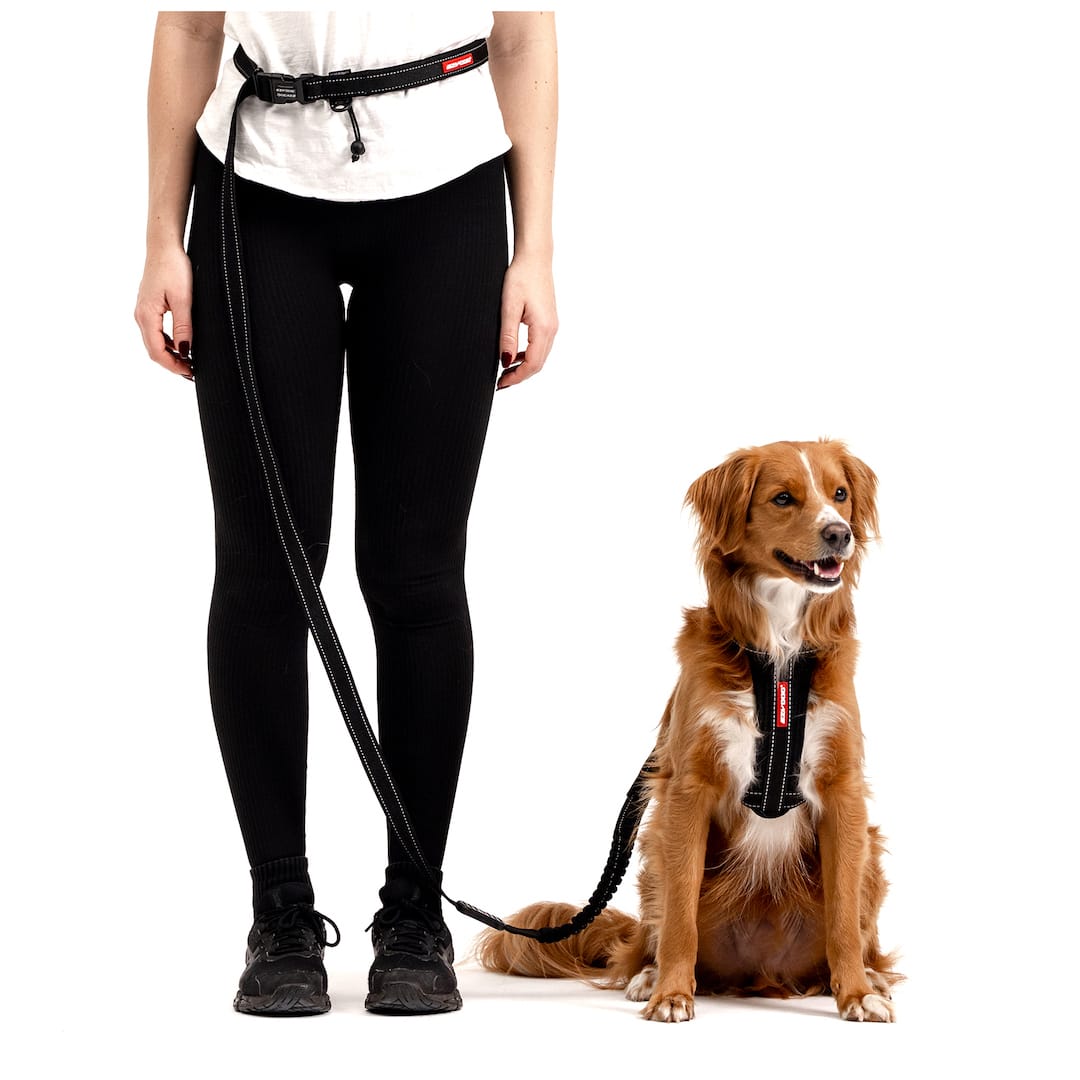 Hands-Free Dog Leash product image 2