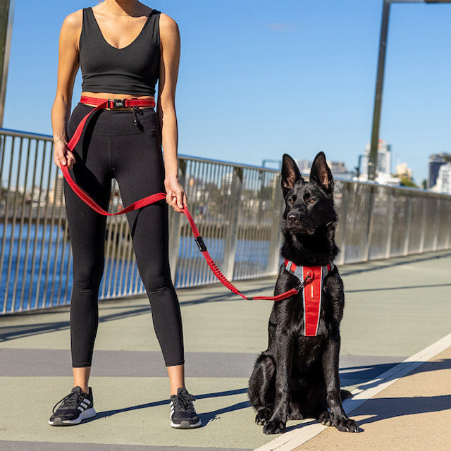 Hands-Free Dog Leash product image 4