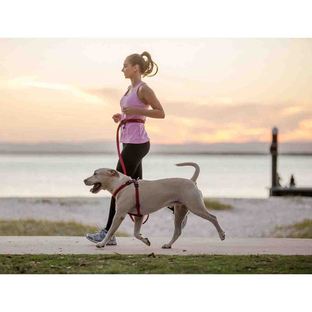 Hands-Free Dog Leash product image 6