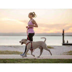 Hands-Free Dog Leash product image 6