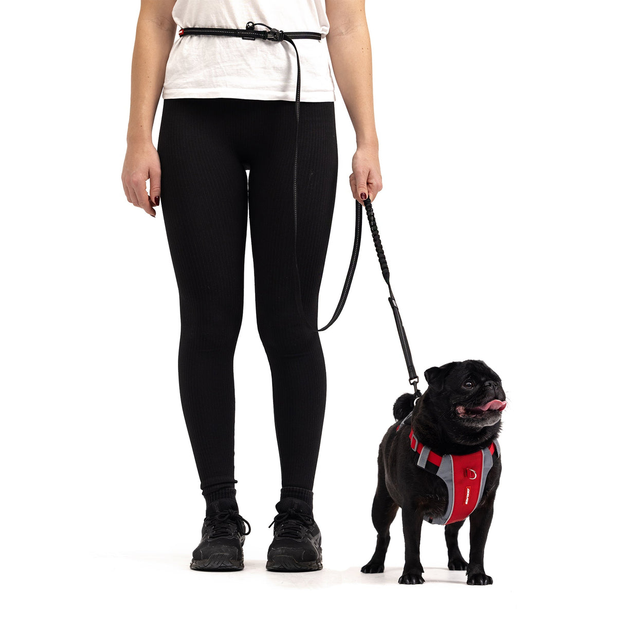 Hands-Free Dog Leash product image 14