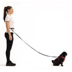 Hands-Free Dog Leash product image 15