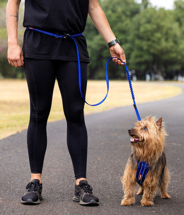 Hands-Free Dog Leash product image 16