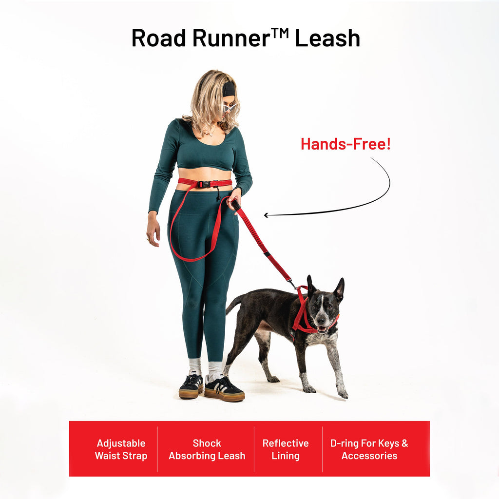 Hands-Free Dog Leash product image 21
