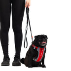 Shock Absorbing Dog Leash product image 2