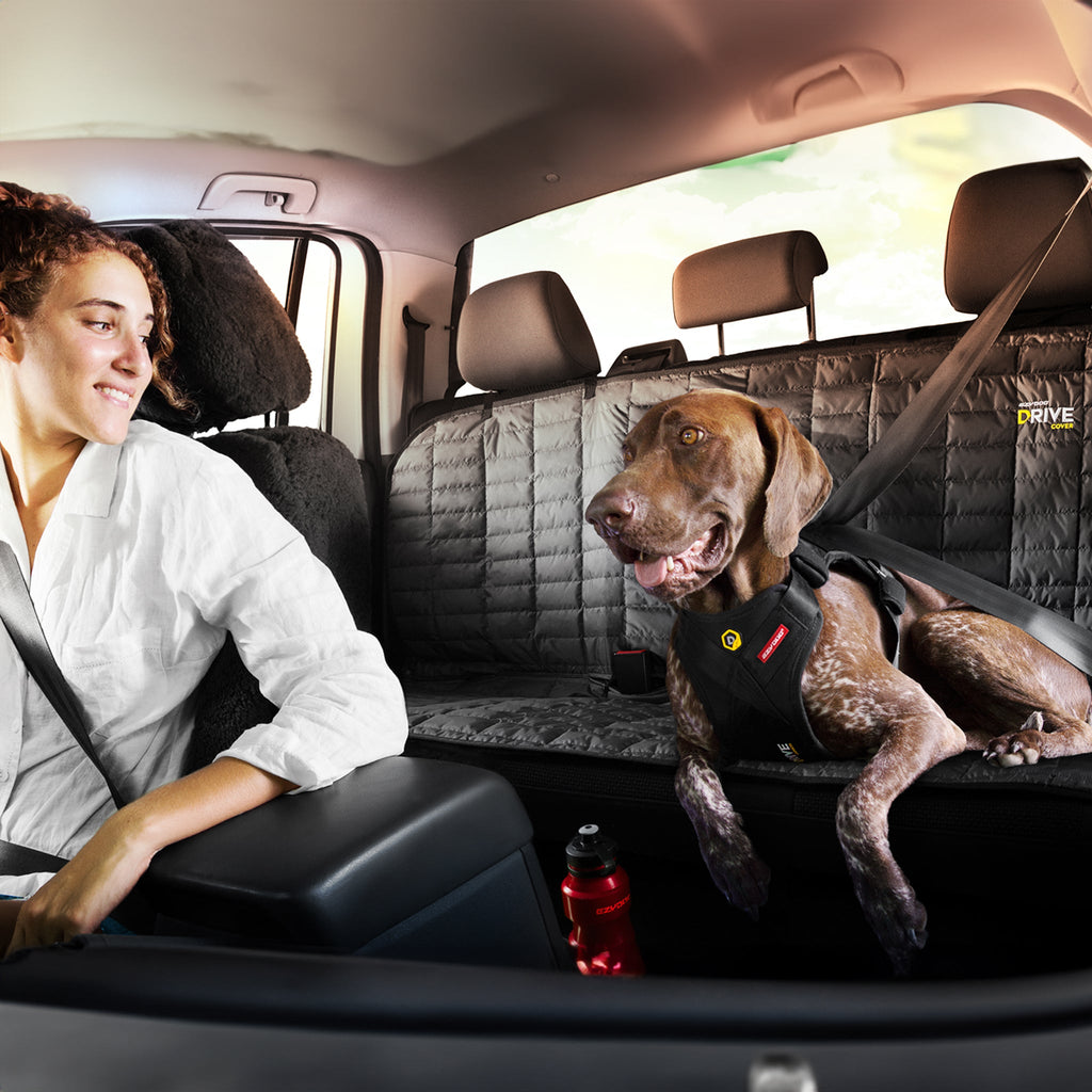 Dog Car Seat Cover product image 3