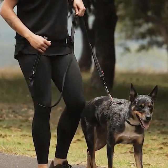 Dog Training Harness product image 3