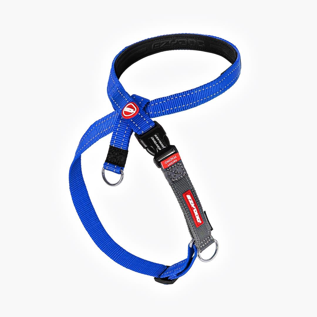 Dog Training Harness product image 4