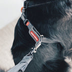 Dog Training Harness product image 7