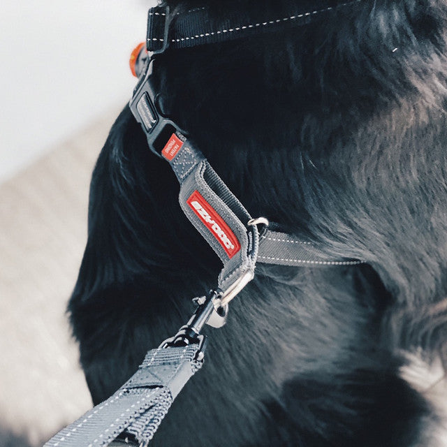 Dog Training Harness product image 7