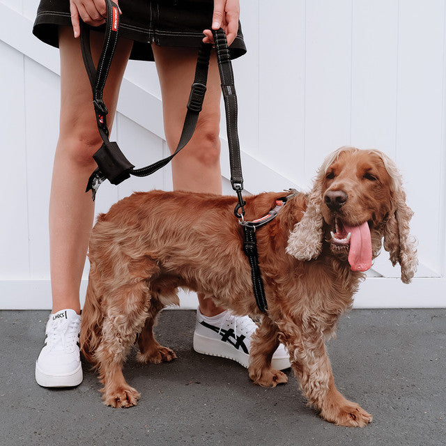 Dog Training Harness product image 8