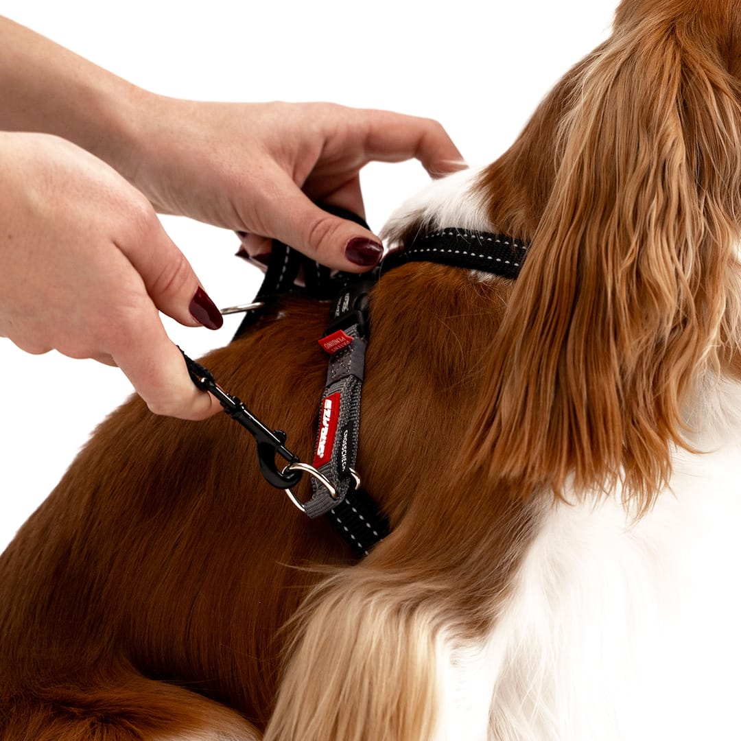 Dog Training Harness product image 9
