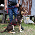 Dog Training Harness product image 10