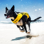 Dog Life Jacket product image 4