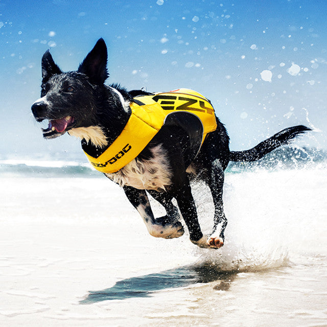 Dog Life Jacket product image 4