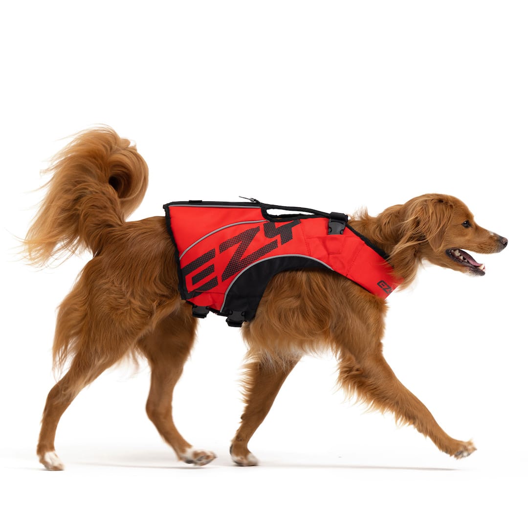 Dog Life Jacket product image 6