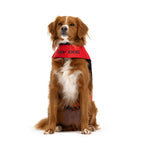 Dog Life Jacket product image 7