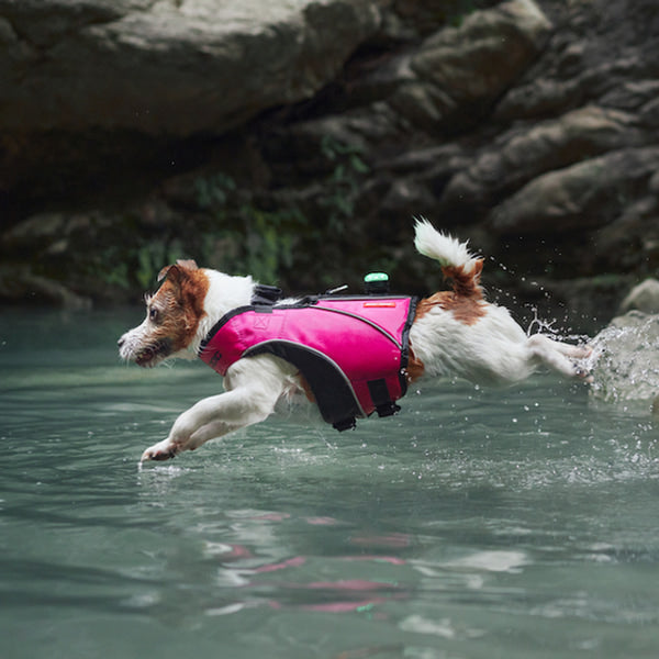Dog Life Jacket product image 15