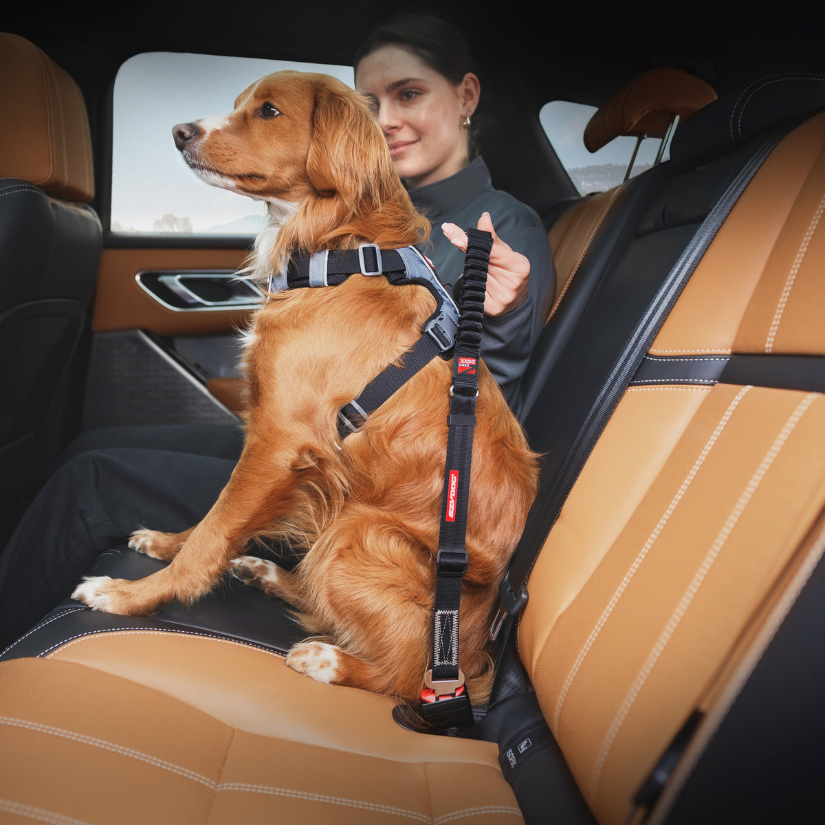 Dog Car Restraint product image 4