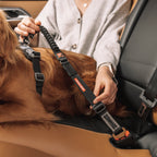 Dog Car Restraint product image 5