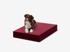 Orthopedic Dog Crate Bed product image 11