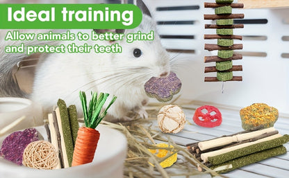 Small Animal Dental Treats 21pcs – Natural Timothy Hay Variety Set with Hay Sticks, Timothy Cakes & Carrot Strawberry Treats for Rabbits, Guinea Pigs & Hamsters – Teeth Care Forage Snacks