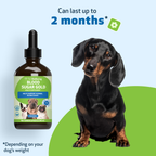 Dog Blood Sugar Supplement for Balanced Levels, Liver and Eye Support in a Gentle Liquid Formula