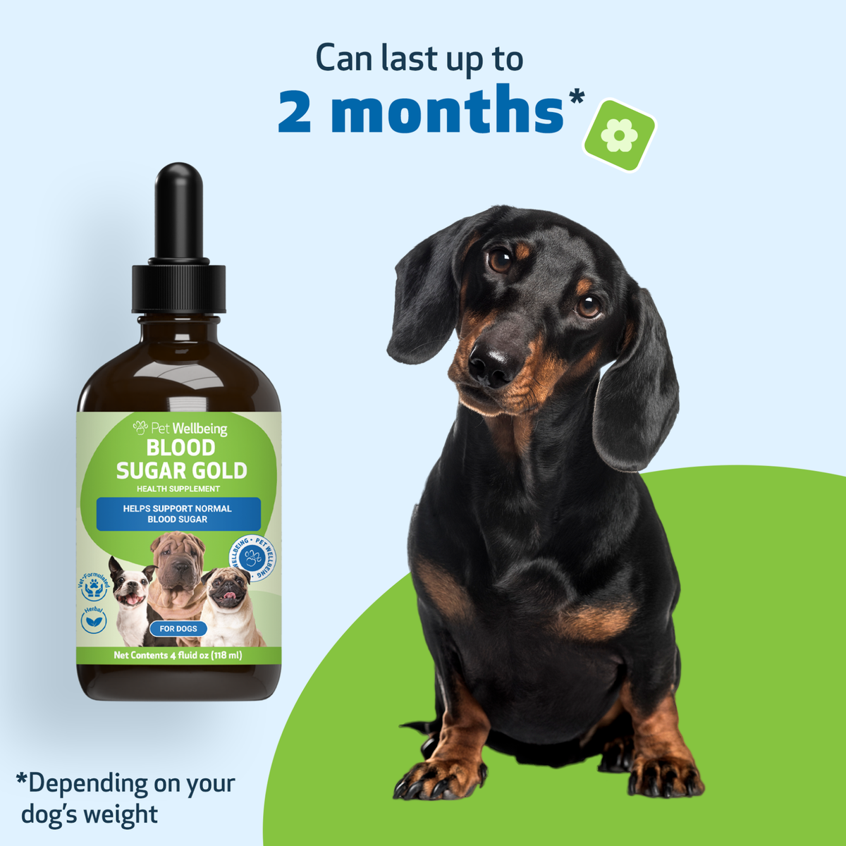 Dog Blood Sugar Supplement for Balanced Levels, Liver and Eye Support in a Gentle Liquid Formula