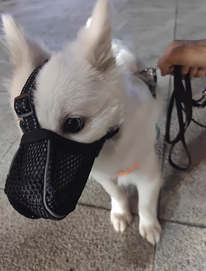 Dog Muzzle Reflective Mesh 2 Pack Anti-Bite Full Coverage with Adjustable Straps, Soft Breathable Polyester Dog Mask for Grooming Vet Visits Walking, Sizes M L XL XXL, Black