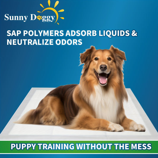 Dog Training Pads for Puppies Large - Disposable Pee Pads with Odor Control, Leak-Proof & Super Absorbent - Puppy Potty Pads for Housebreaking, 40/50/120 Count