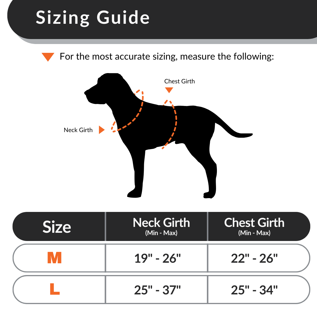 Working Dog Harness product image 7