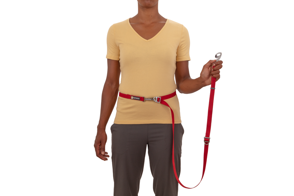 Adjustable Double-Ended Dog Leash product image 21