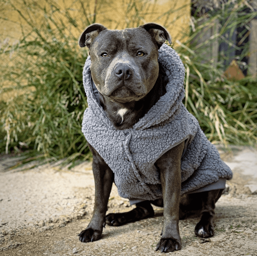 Teddy Sherpa Dog Jacket product image 4
